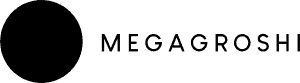megagroshi-logo-2.png.pagespeed.ce_.qfymrhp5yu-2.png